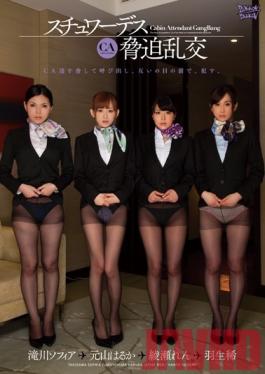 ZUKO-036 Studio Zukkon/Bakkon Stewardess Intimidation Orgy Hanyu Rare Wonsan Much Takigawa Sofia Ayase Ren
