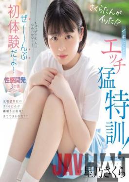 MIDV-170 Studio MOODYZ Sakura tan Has Gone! ? I Want To Live,And I'm Going To Have A Special Training! It's My First Experience! Erogenous Development 3 Production Special Sakura Hoshino (Blu ray Disc)