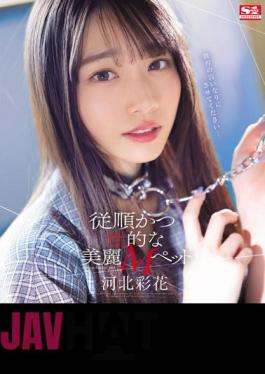 SSIS-839 Obedient And Sexual Beautiful M Pet Ayaka Kawakita (Blu-ray Disc)