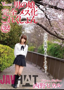 HERY-136 Man's Daughter, Complete Female Collection 32 Hikaru Nishino