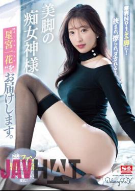 SSIS-893 Sandwiched Between The Industry's No. 1 Legs, Rubbed And Rubbed! We Present To You The Slut Goddess With Beautiful Legs, Ichika Hoshimiya.