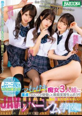 Mosaic MDBK-245 I Am An Educational Trainee Who Was Found To Be A Virgin In A Trio Of Masegaki Sluts! While Being Teased, Both Chikubi And Chi Po's Three-point Blame Makes You Feel Good In All Directions Ejaculation Harlem Gakuen!