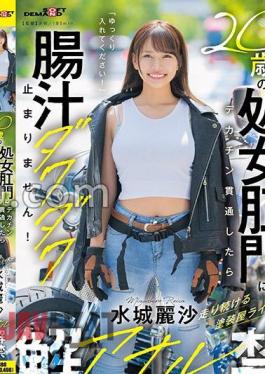 English Sub SDAM-128 When A Big Dick Penetrates A 20-year-old Virgin's Anus, The Intestinal Juices Flow Nonstop! Painter Rider Mizuki Reisa's Anal Debut