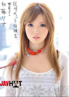 Mosaic INU-003 Rina Kato # 001 Candidates Pet Obedience