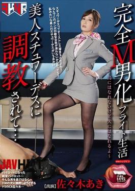 English Sub MANE-016 Full M Maleizing Flight Life Beautiful Being Trained By Stewardess ... Aki Sasaki