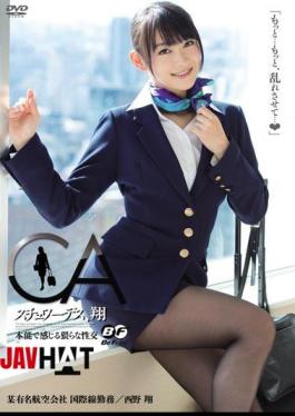 English Sub BF-240 Sho Nishino Et Al Intercourse 猥 Feel Stewardess, By Instinct Sho