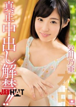 Mosaic HND-354 Pies Authenticity Ban! Sakaegawa Noa