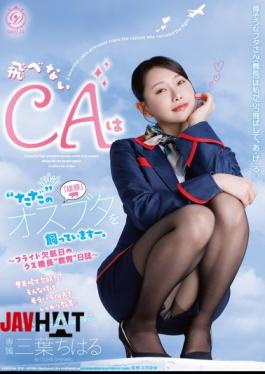DLDSS-543 Flight Attendant Who Can't Fly Keeps A 'just' Male Pig As A Pet. A Diary Of A 'training' Session With A Useless Pilot On A Flight Cancellation Day Mitsuba Chiharu